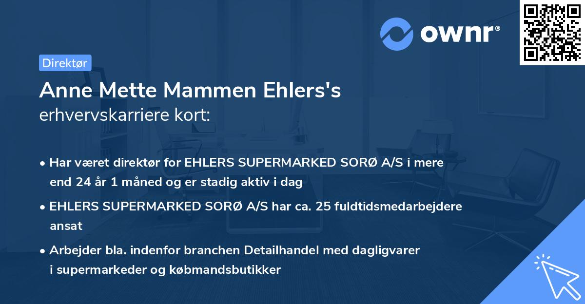 Anne Mette Mammen Ehlers's erhvervskarriere kort