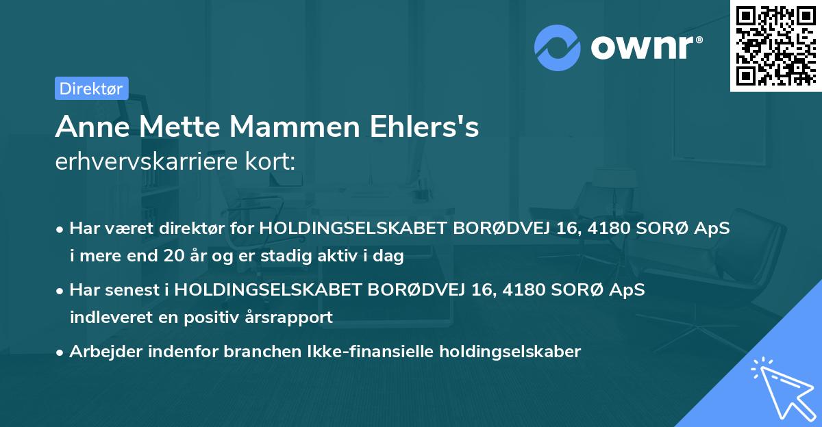 Anne Mette Mammen Ehlers's erhvervskarriere kort
