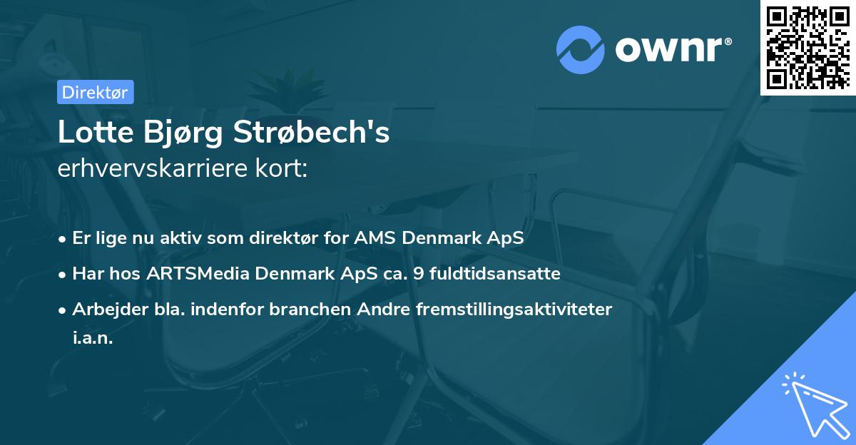 Lotte Bjørg Strøbech's erhvervskarriere kort