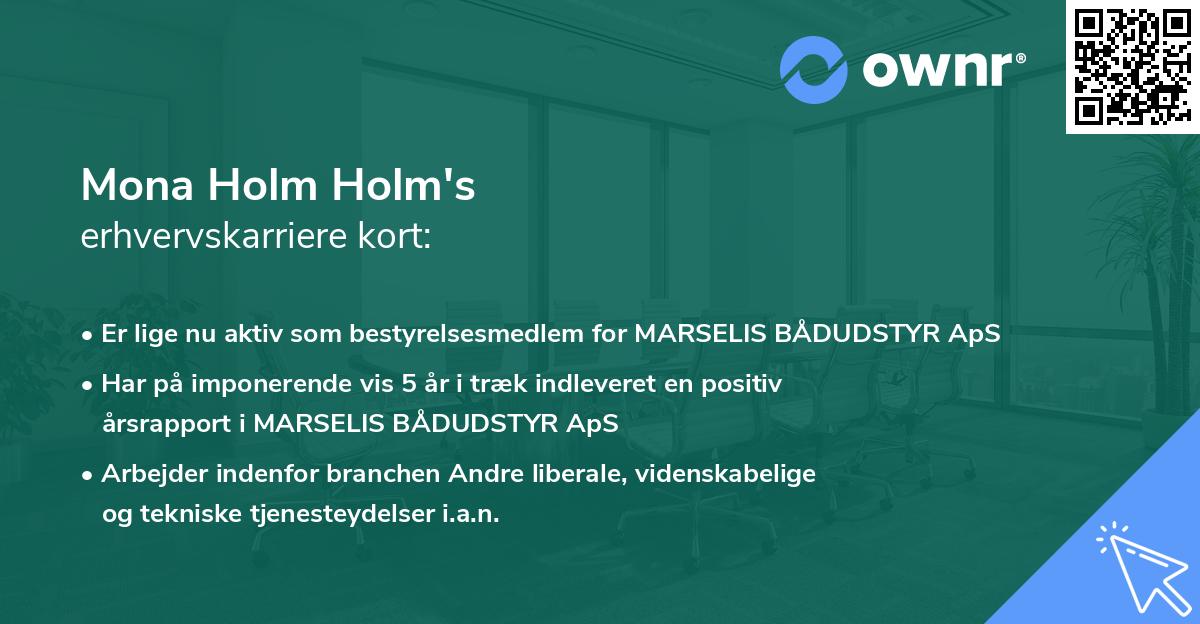 Mona Holm Holm's erhvervskarriere kort
