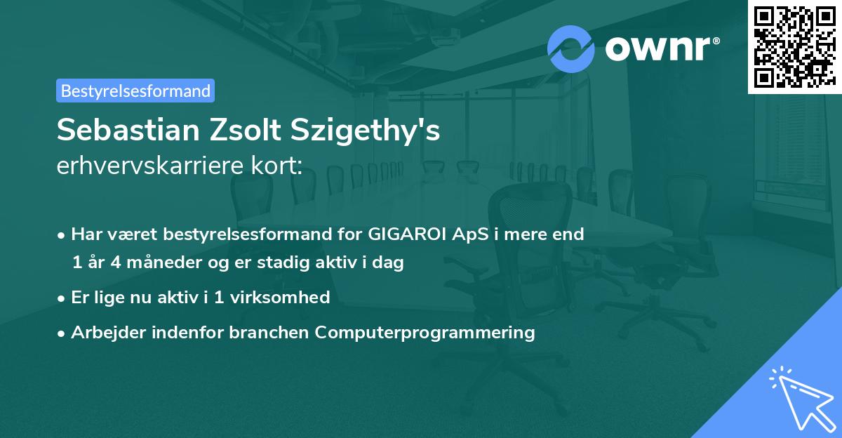 Sebastian Zsolt Szigethy's erhvervskarriere kort