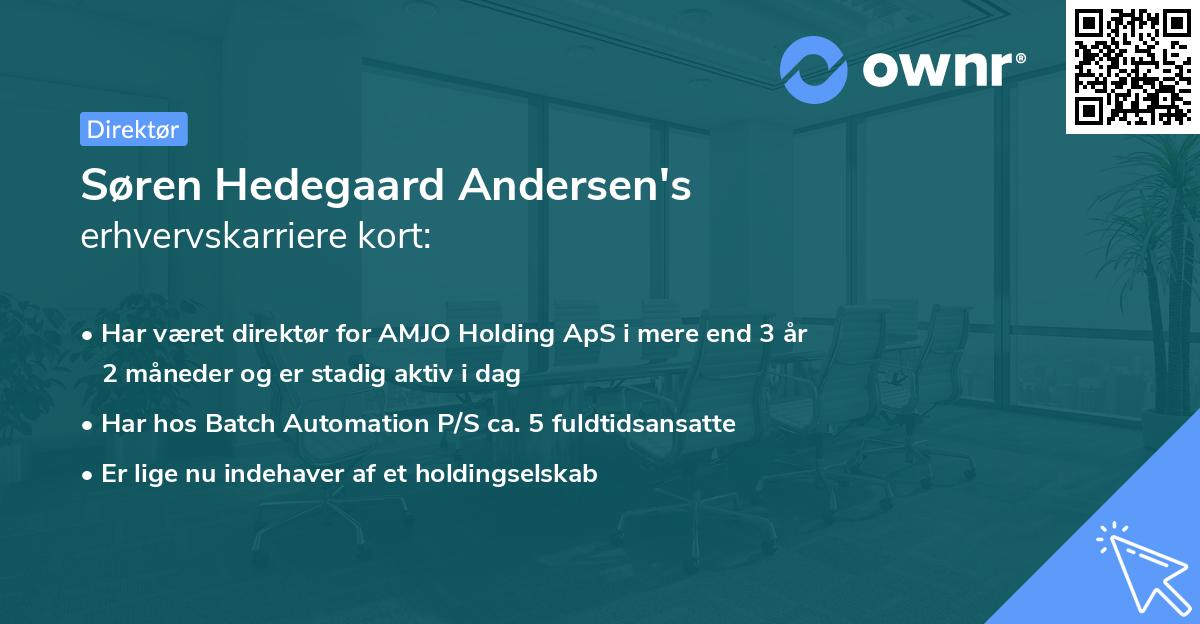 Søren Hedegaard Andersen's erhvervskarriere kort
