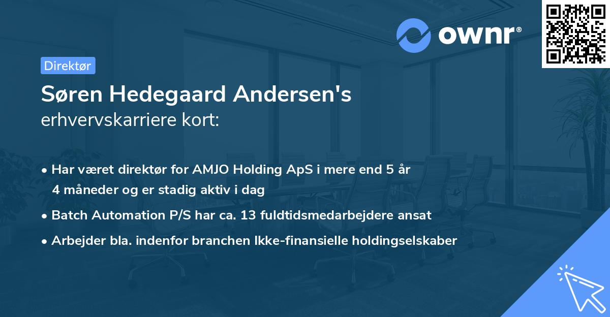 Søren Hedegaard Andersen's erhvervskarriere kort