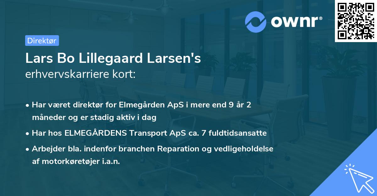 Lars Bo Lillegaard Larsen's erhvervskarriere kort
