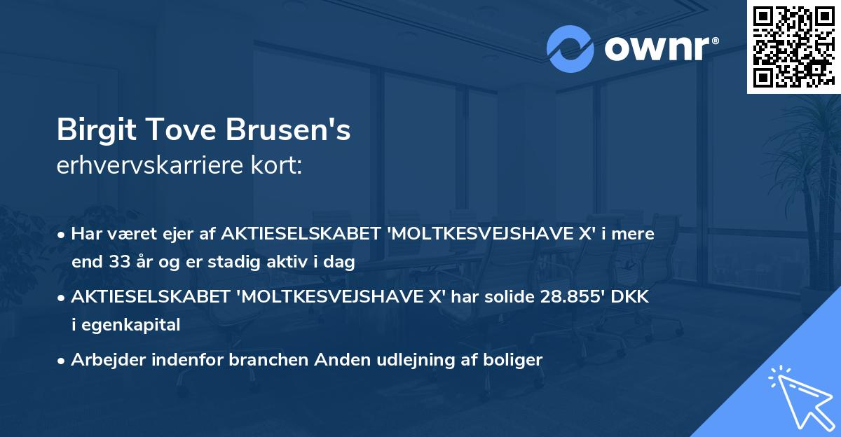 Birgit Tove Brusen's erhvervskarriere kort