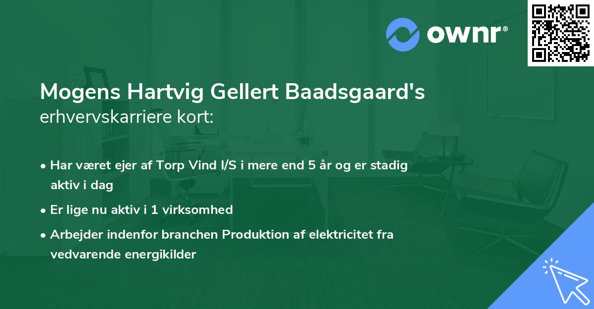 Mogens Hartvig Gellert Baadsgaard's erhvervskarriere kort