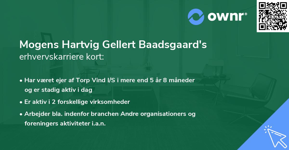 Mogens Hartvig Gellert Baadsgaard's erhvervskarriere kort