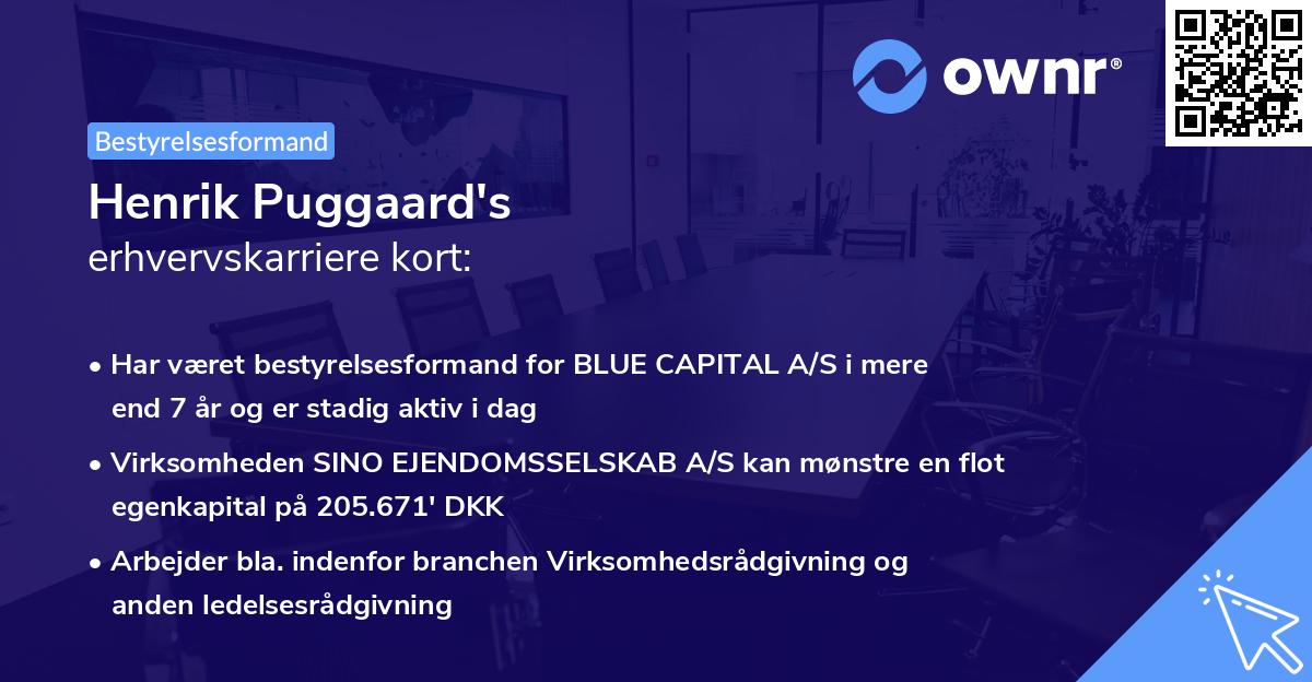 Henrik Puggaard's erhvervskarriere kort