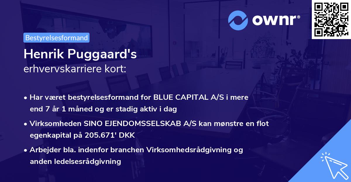 Henrik Puggaard's erhvervskarriere kort