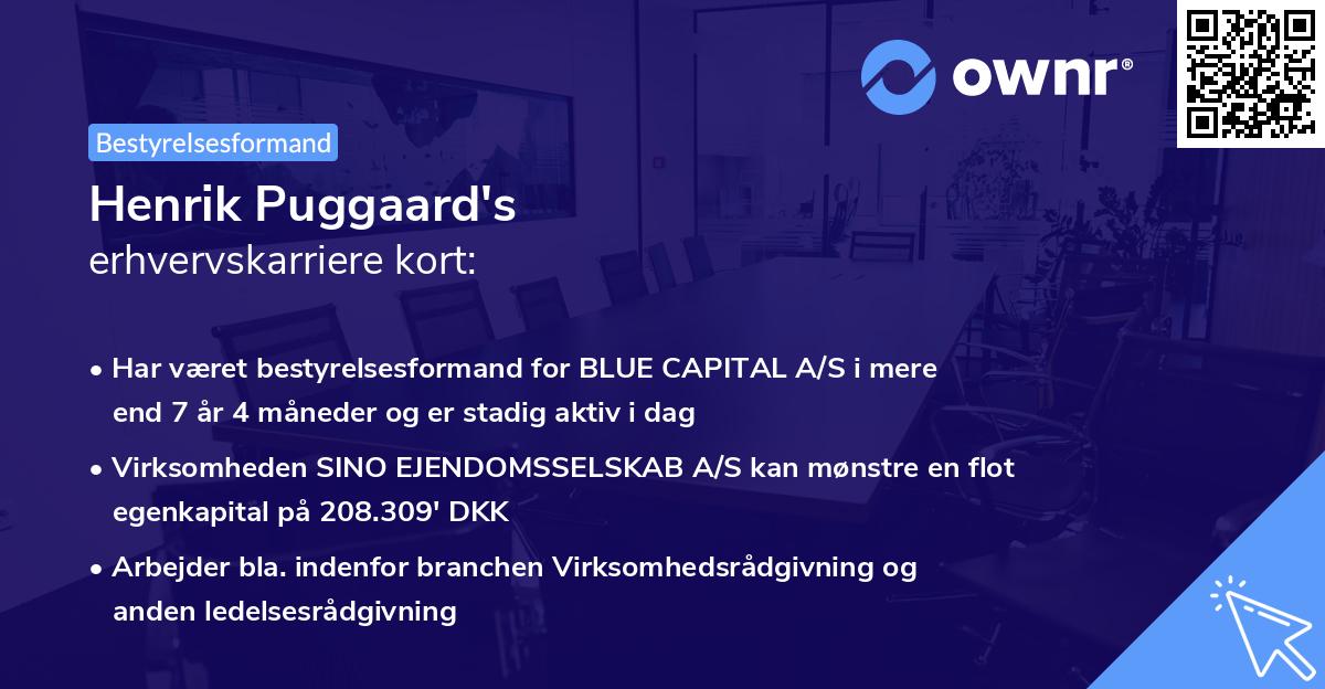 Henrik Puggaard's erhvervskarriere kort