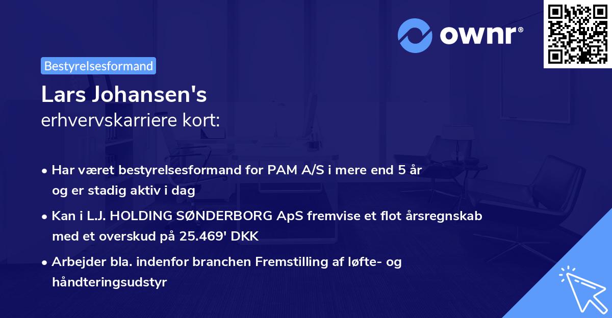 Lars Johansen's erhvervskarriere kort