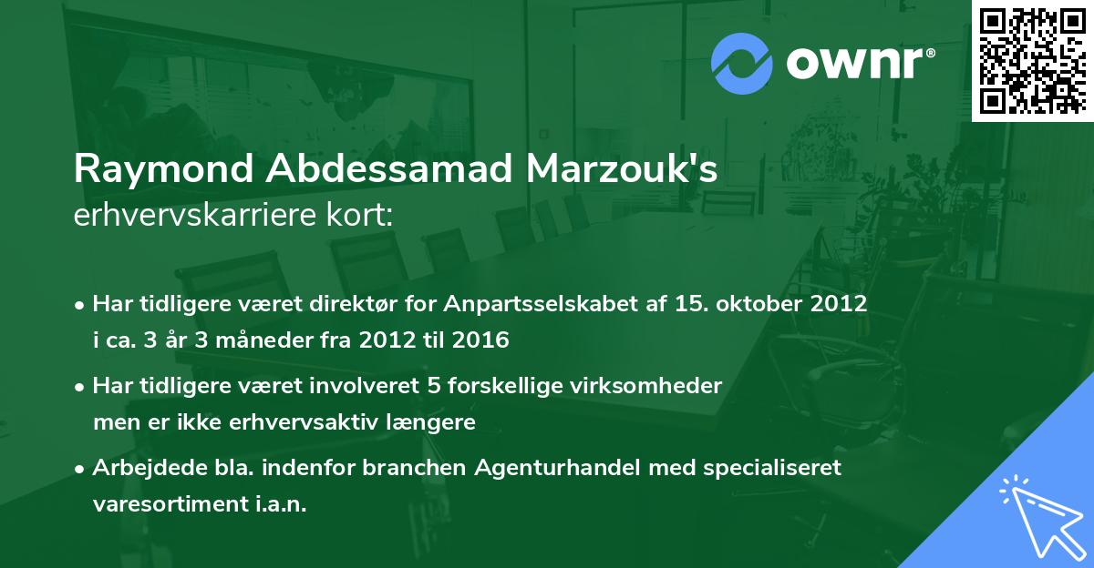 Raymond Abdessamad Marzouk's erhvervskarriere kort