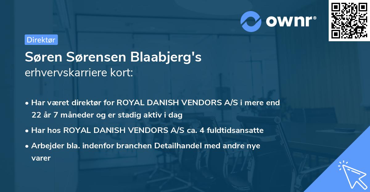Søren Sørensen Blaabjerg's erhvervskarriere kort