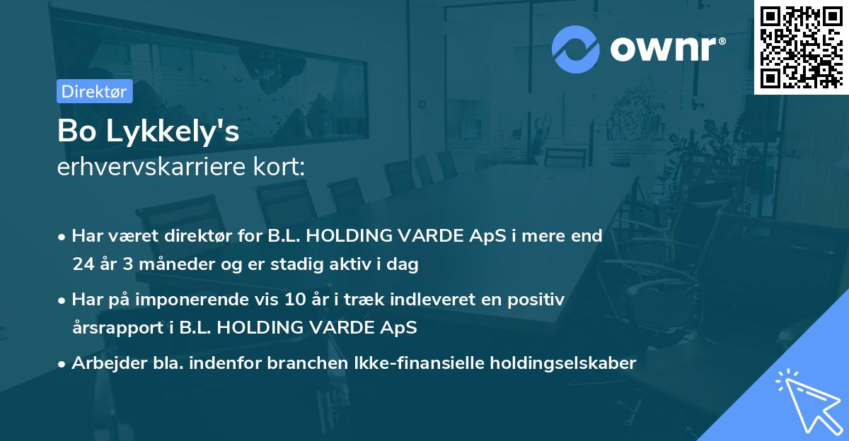 Bo Lykkely's erhvervskarriere kort