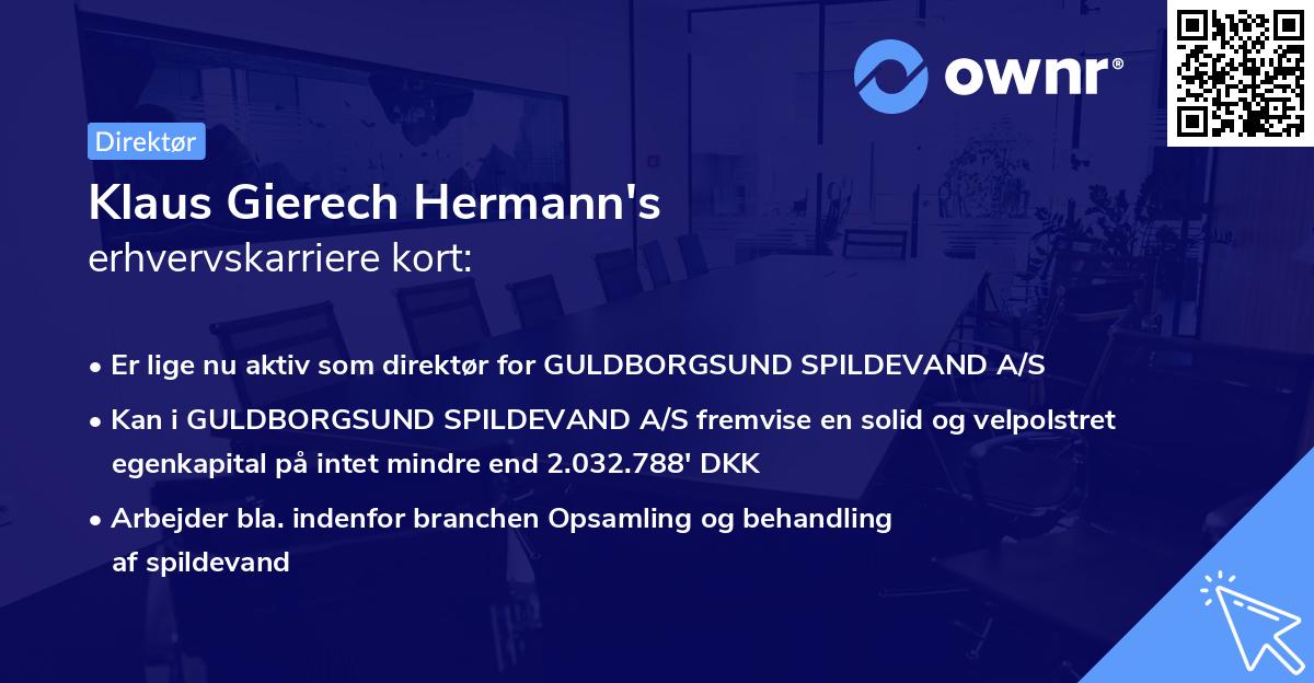 Klaus Gierech Hermann's erhvervskarriere kort