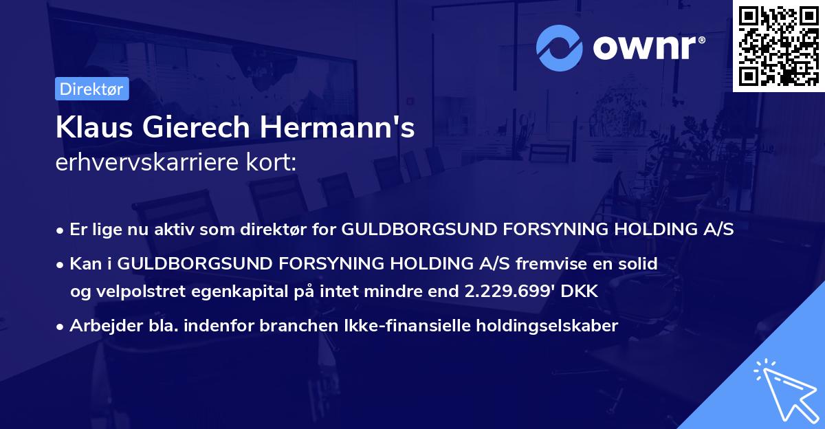 Klaus Gierech Hermann's erhvervskarriere kort