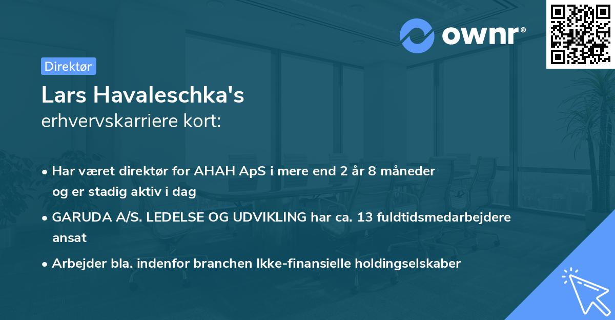 Lars Havaleschka's erhvervskarriere kort