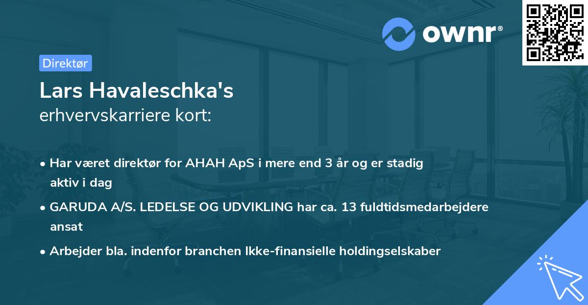 Lars Havaleschka's erhvervskarriere kort