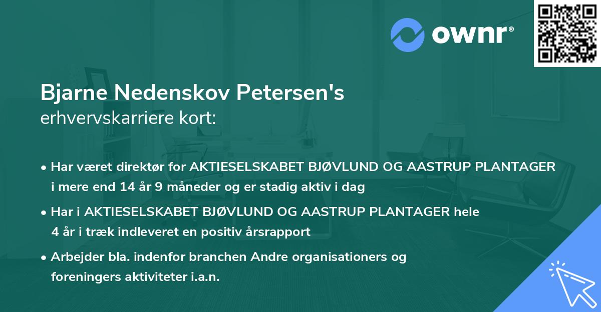 Bjarne Nedenskov Petersen's erhvervskarriere kort