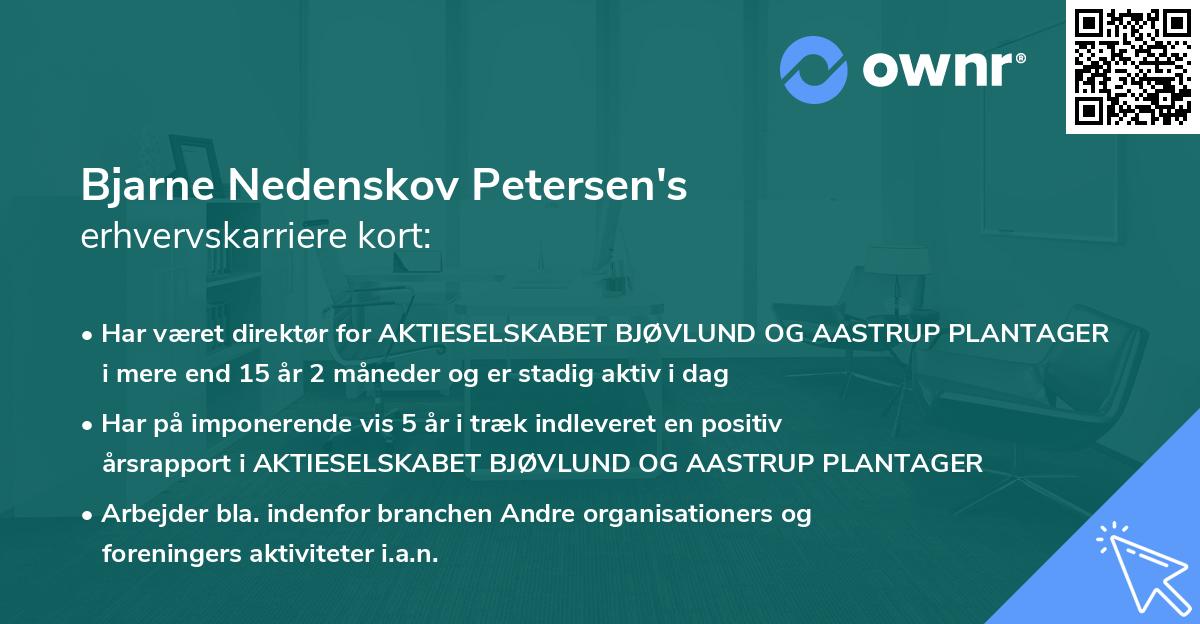 Bjarne Nedenskov Petersen's erhvervskarriere kort