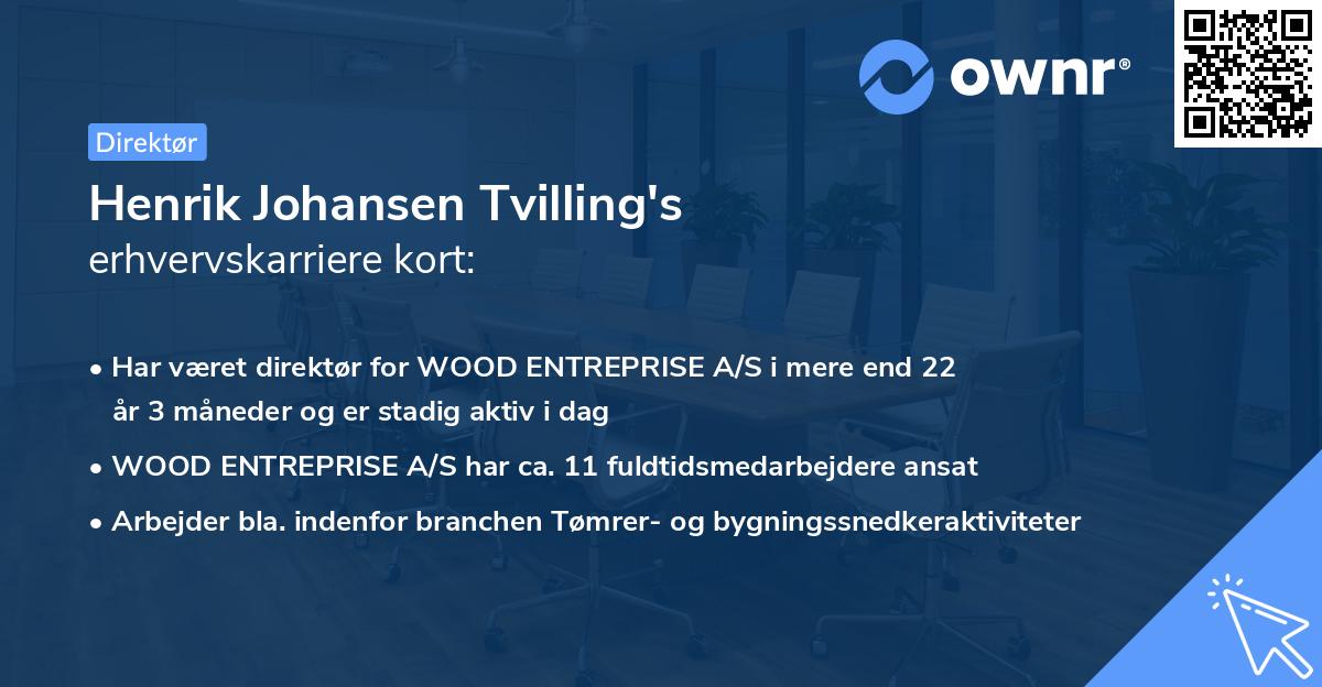 Henrik Johansen Tvilling's erhvervskarriere kort