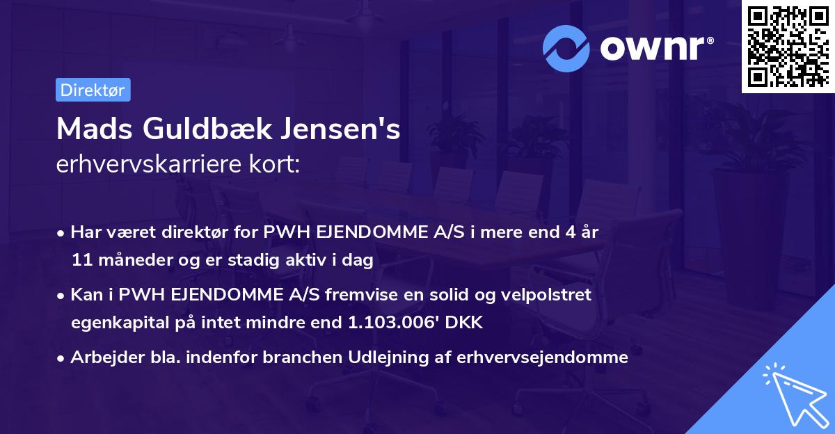 Mads Guldbæk Jensen's erhvervskarriere kort