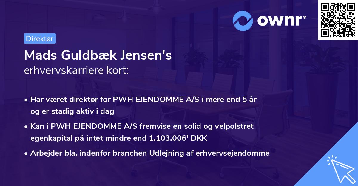 Mads Guldbæk Jensen's erhvervskarriere kort