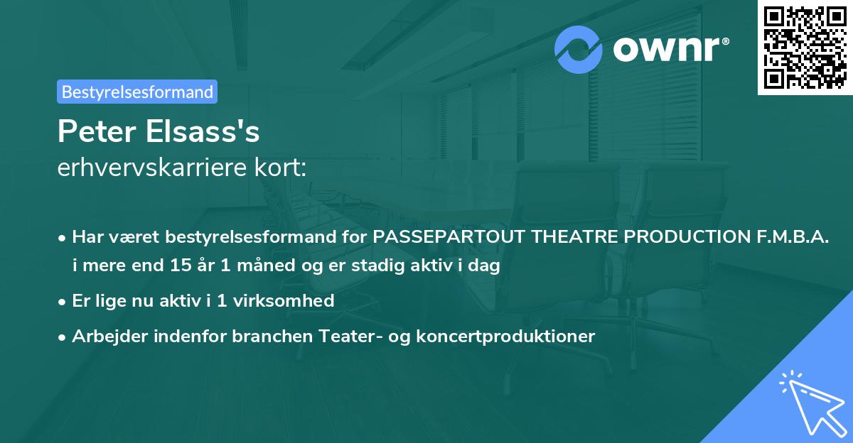 Peter Elsass's erhvervskarriere kort