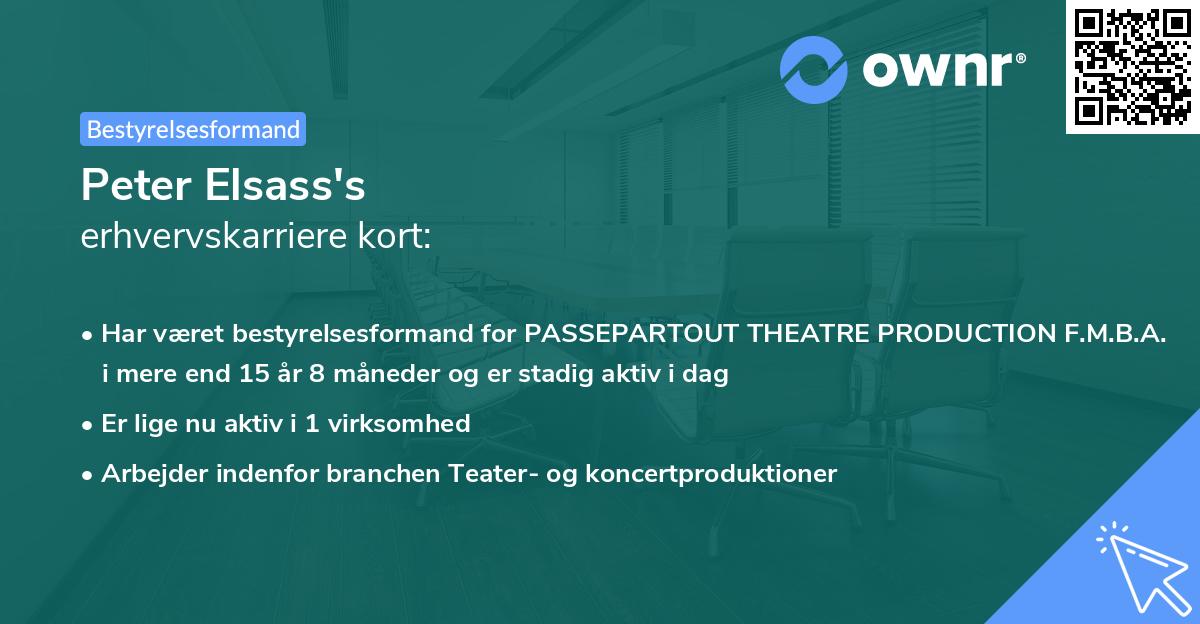 Peter Elsass's erhvervskarriere kort