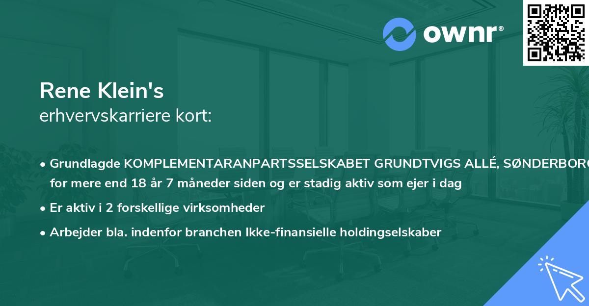 Rene Klein's erhvervskarriere kort