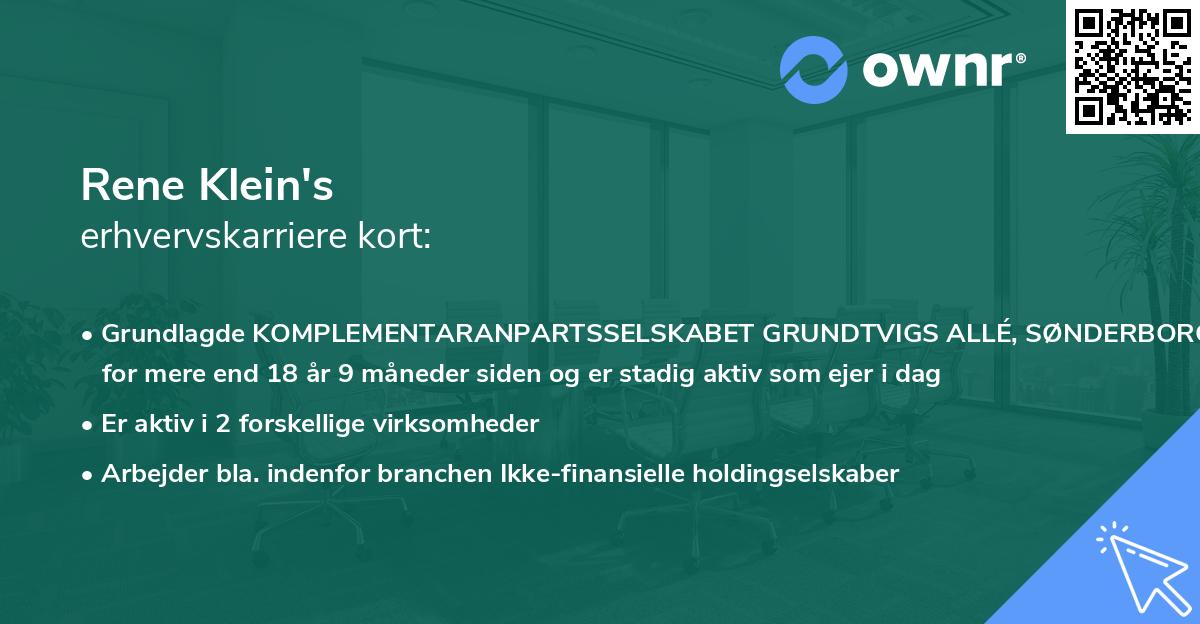Rene Klein's erhvervskarriere kort