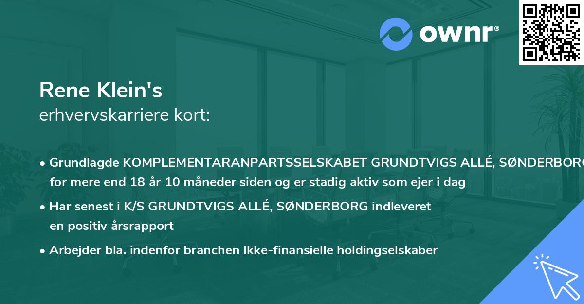 Rene Klein's erhvervskarriere kort