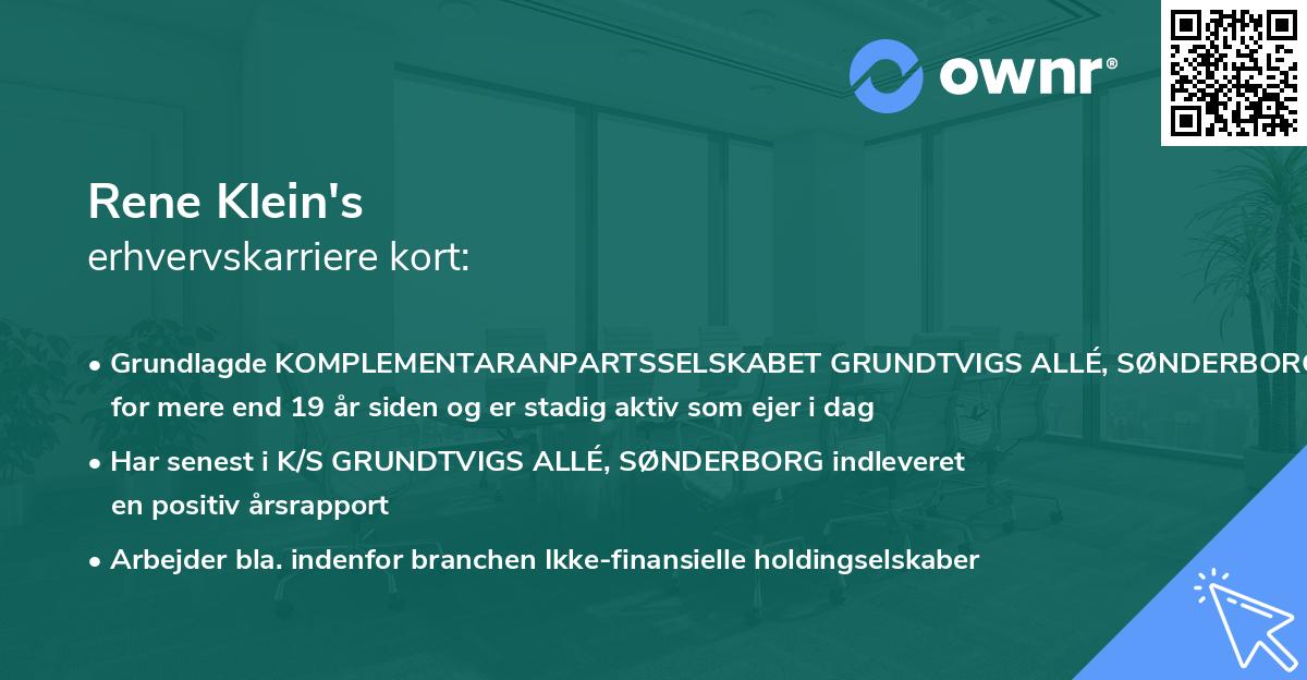 Rene Klein's erhvervskarriere kort