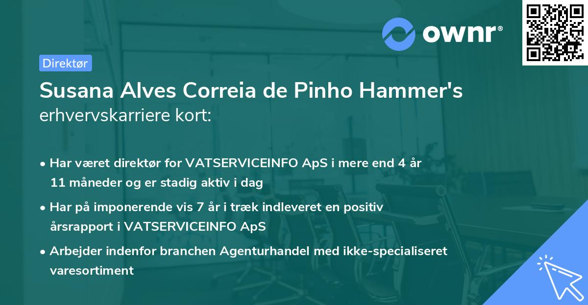 Susana Alves Correia de Pinho Hammer's erhvervskarriere kort