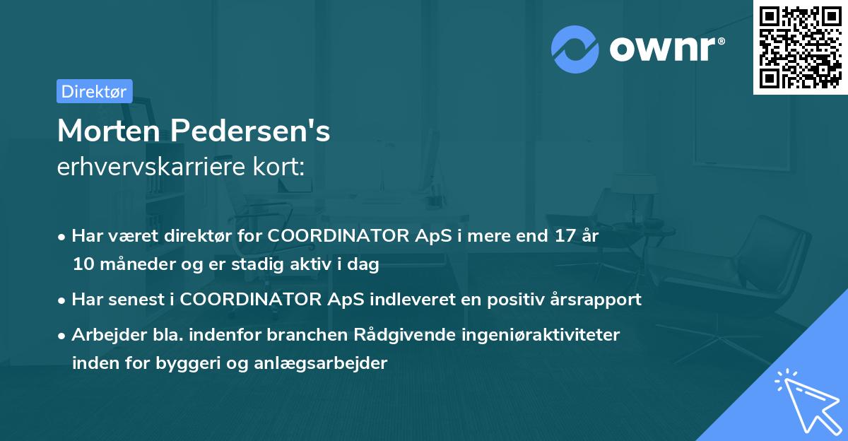 Morten Pedersen's erhvervskarriere kort