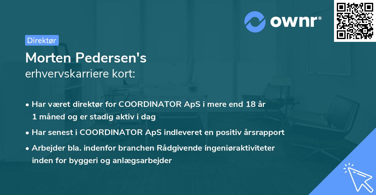 Morten Pedersen's erhvervskarriere kort