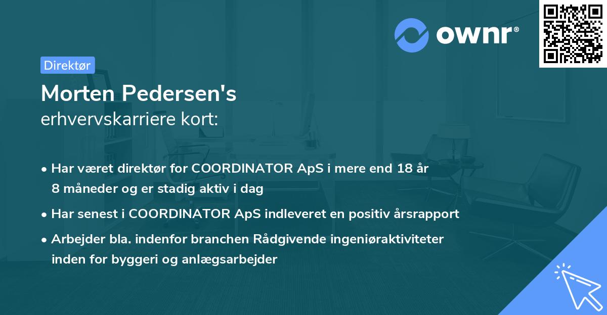 Morten Pedersen's erhvervskarriere kort
