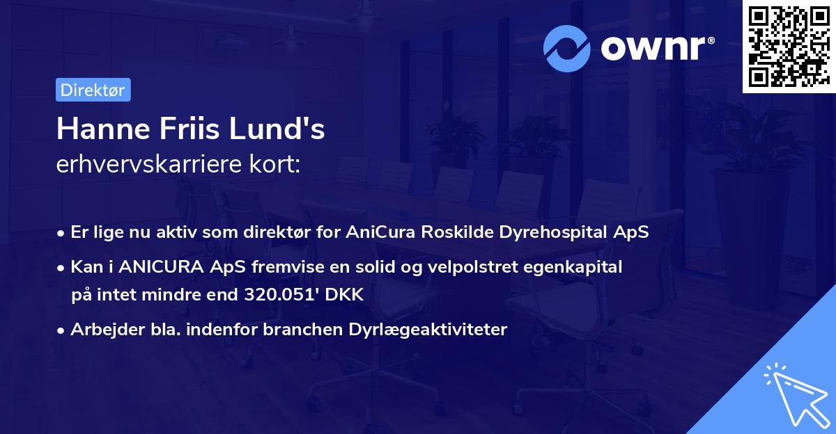 Hanne Friis Lund's erhvervskarriere kort