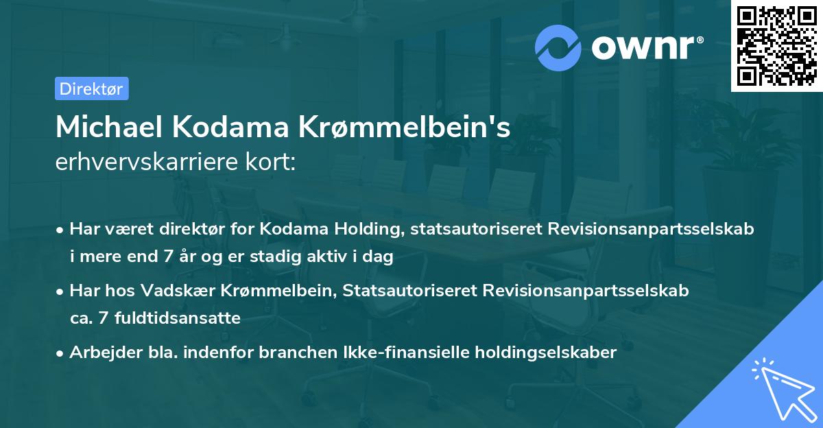 Michael Kodama Krømmelbein's erhvervskarriere kort