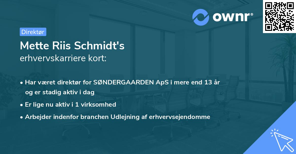 Mette Riis Schmidt's erhvervskarriere kort