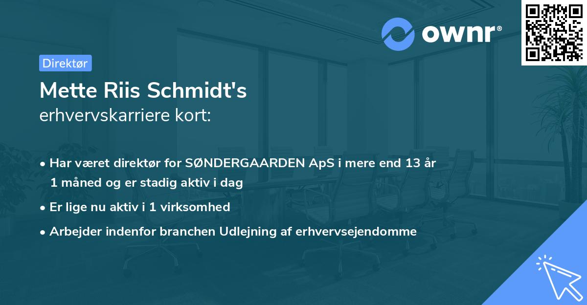 Mette Riis Schmidt's erhvervskarriere kort