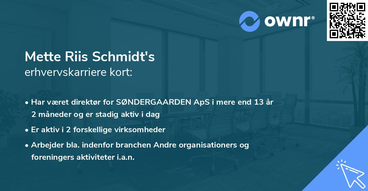 Mette Riis Schmidt's erhvervskarriere kort