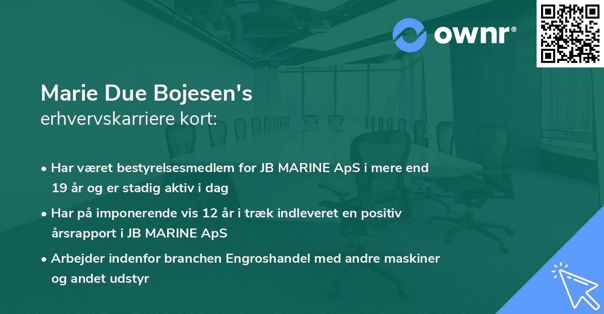 Marie Due Bojesen's erhvervskarriere kort