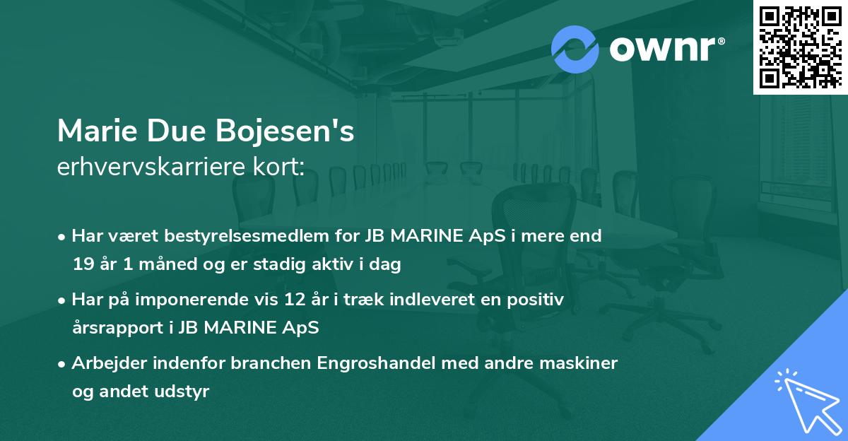 Marie Due Bojesen's erhvervskarriere kort
