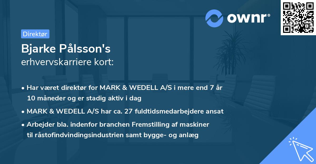 Bjarke Pålsson's erhvervskarriere kort