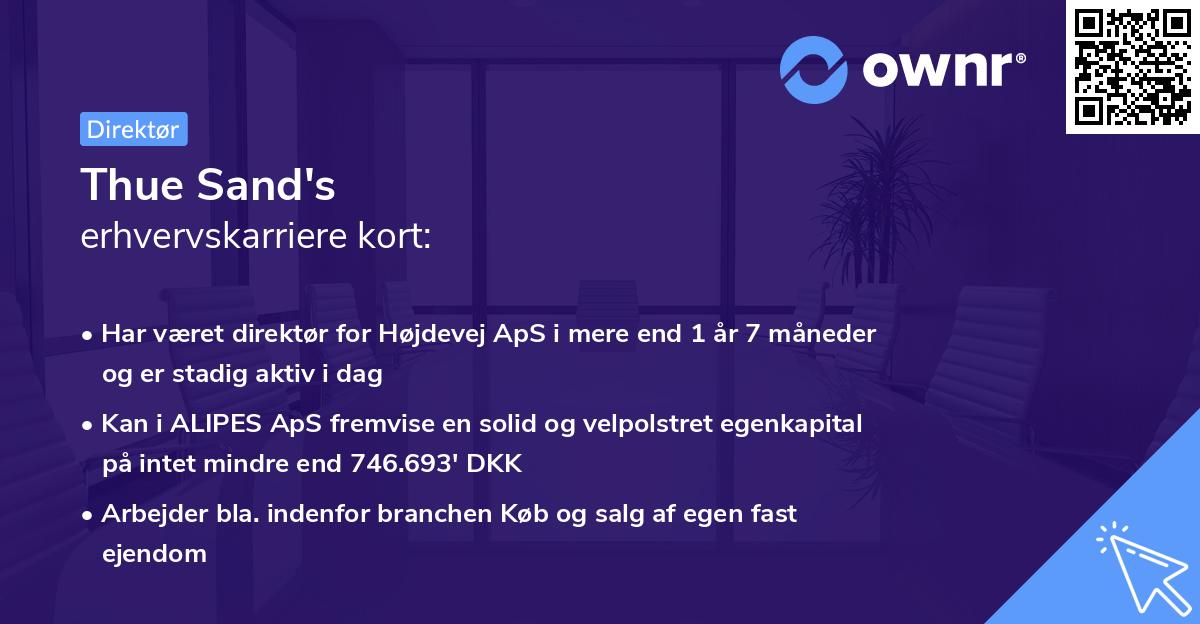 Thue Sand's erhvervskarriere kort
