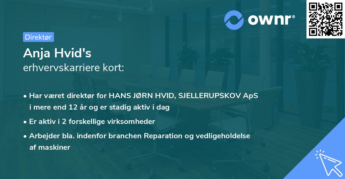 Anja Hvid's erhvervskarriere kort
