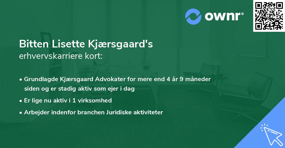 Bitten Lisette Kjærsgaard's erhvervskarriere kort