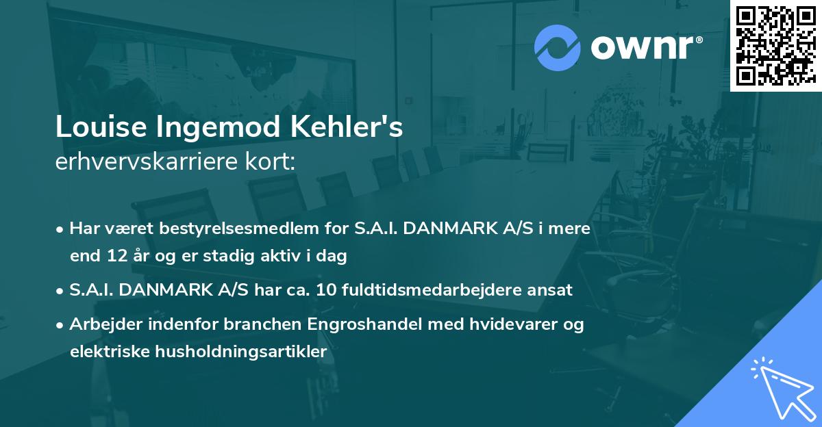 Louise Ingemod Kehler's erhvervskarriere kort