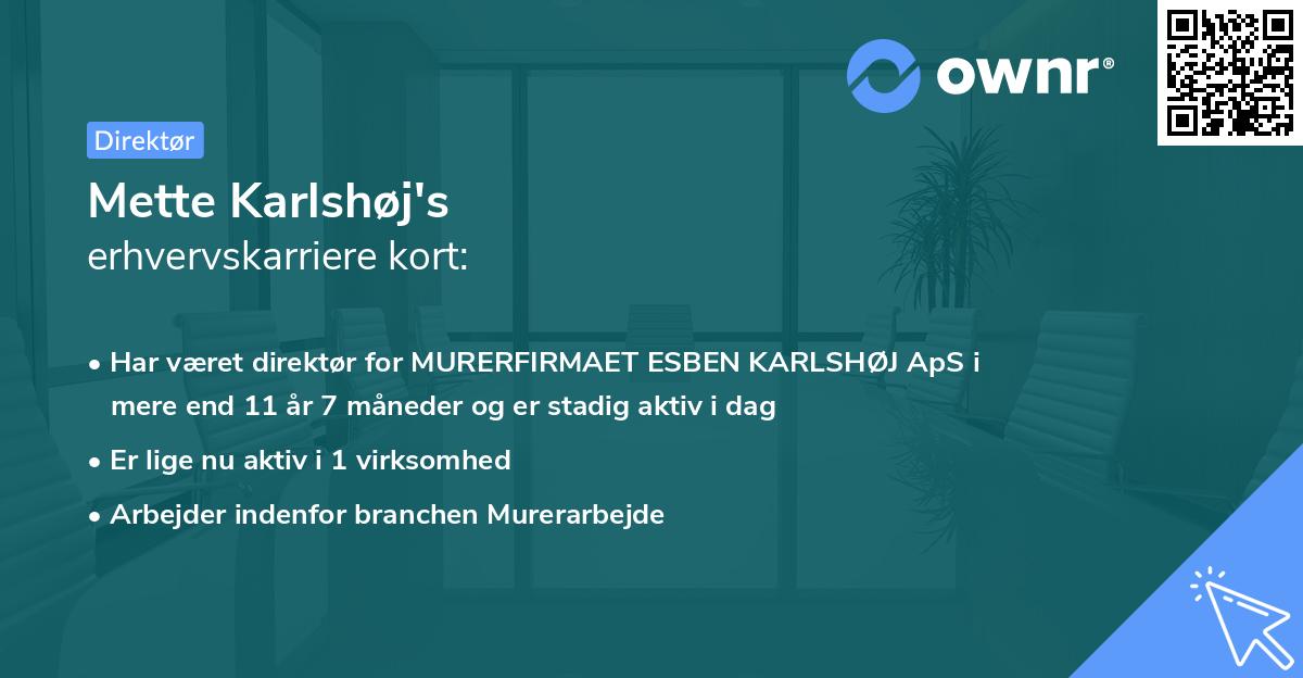 Mette Karlshøj's erhvervskarriere kort